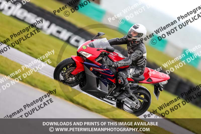 PJ Motorsport 2019;anglesey no limits trackday;anglesey photographs;anglesey trackday photographs;enduro digital images;event digital images;eventdigitalimages;no limits trackdays;peter wileman photography;racing digital images;trac mon;trackday digital images;trackday photos;ty croes